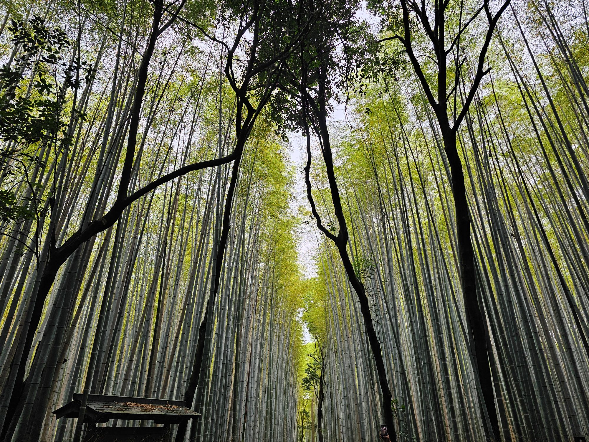 More adventures coming