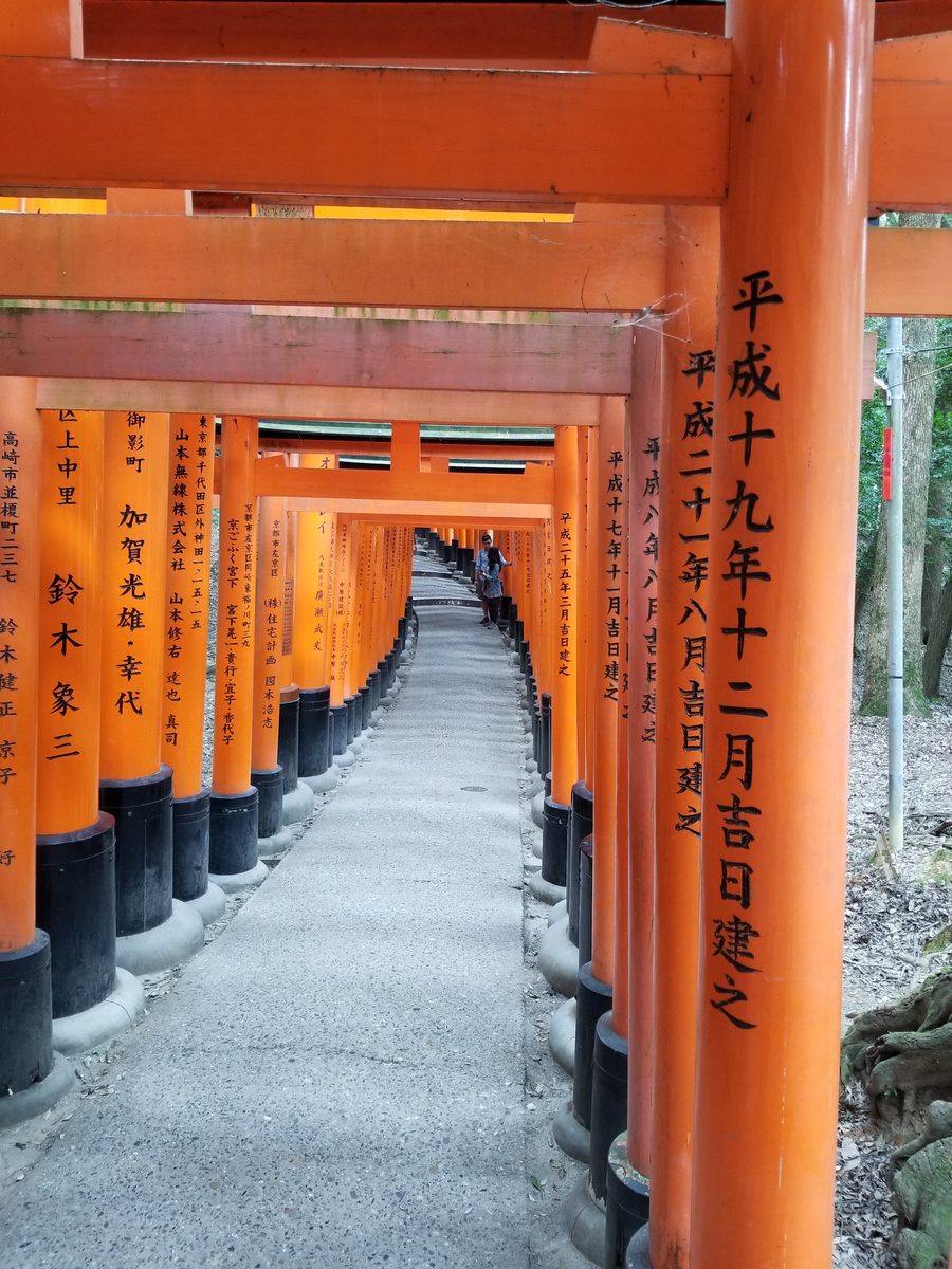 Fushimi Inari torii gates tunnel